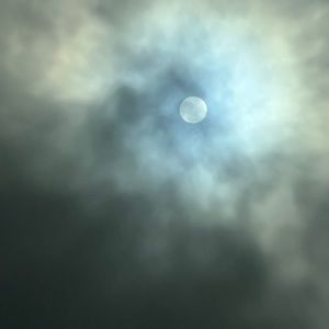 Meet your Posher, Jayda